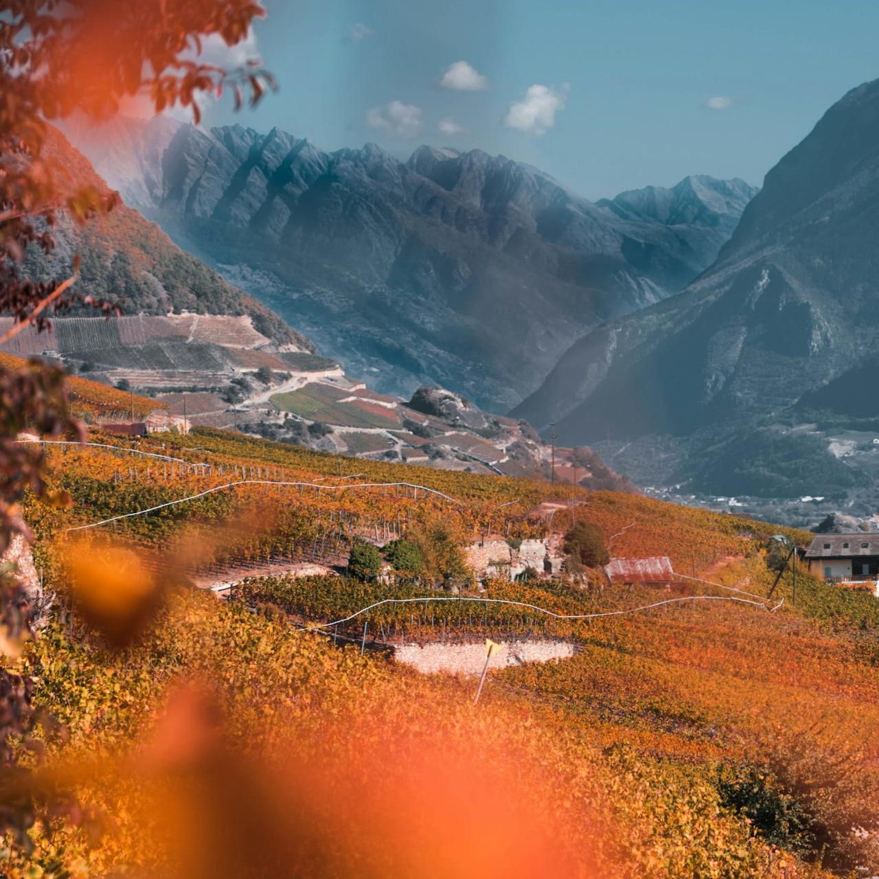 green field and houses near mountains at daytime